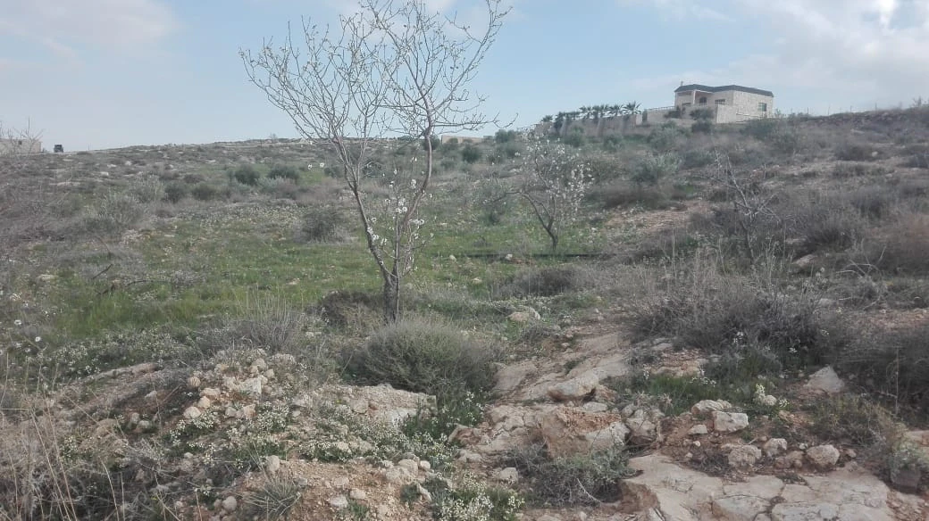 أرض في بدر الجديده ابو نعير - 85,000 دأ - صورة 1