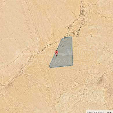 أرض في جنوب عمان - 3,300 دأ - صورة 1