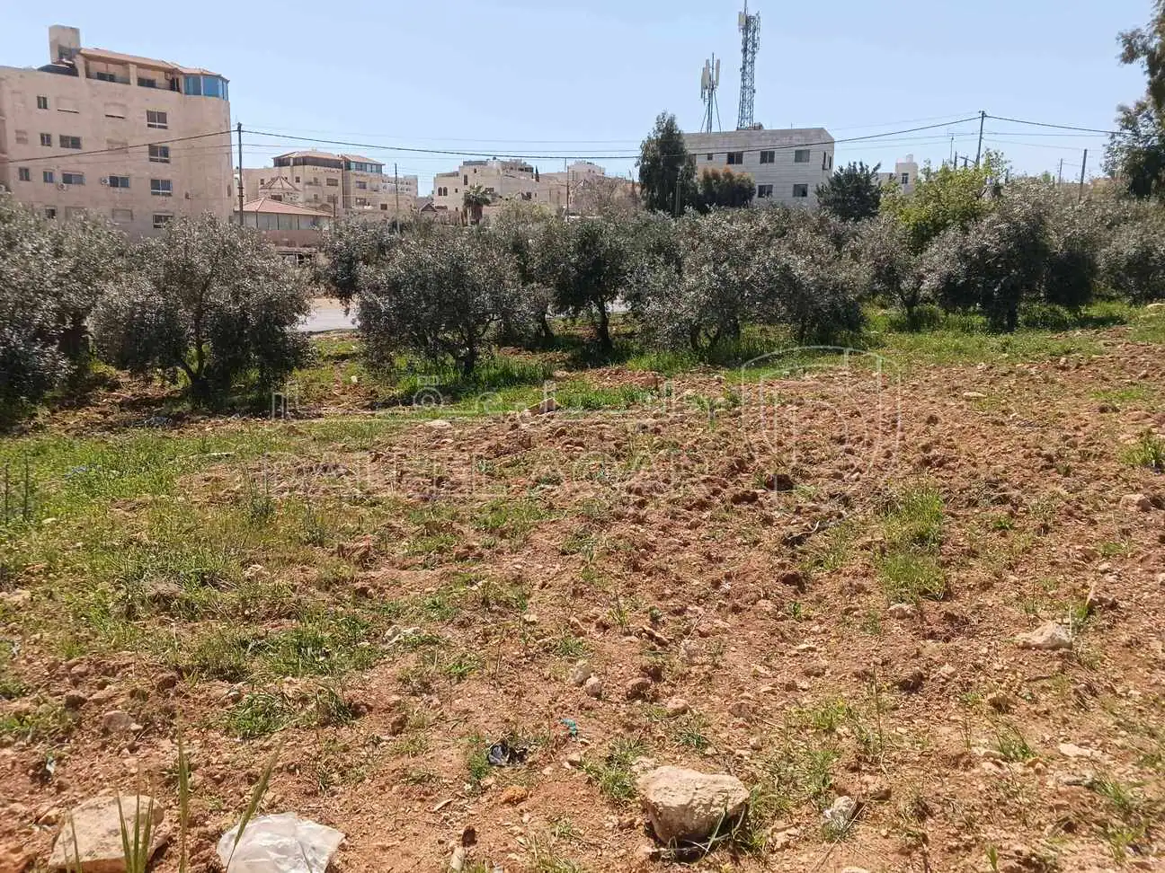 أرض في أرض للبيع شفا بدران  - 950,000 دأ - صورة 1