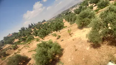 مزرعة/شاليه في السلط دعم الغزالات بالقرب من مسجد الاخلاص - 155,000 دأ - صورة NaN