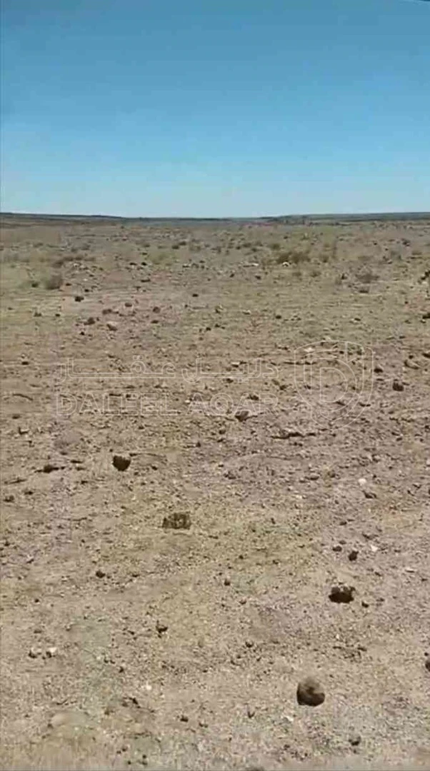 أرض في المفرق لواء البادية الشمالية الشرقية قرية الهاشمية الشرقية طريق عمان بغداد الدولي  - 11,500 دأ - صورة 1