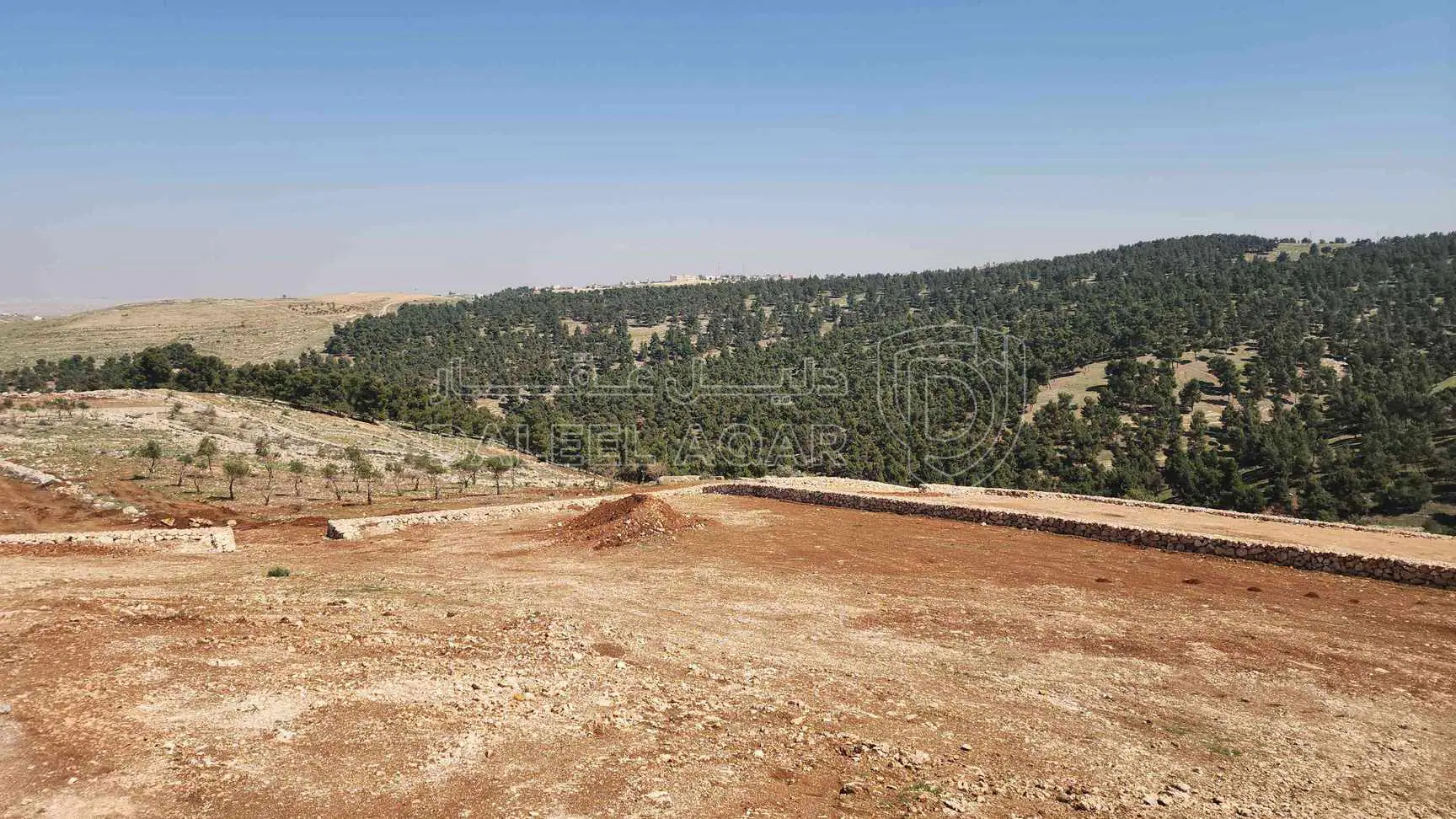 أرض في اتوستراد اربد عمان - 60,000 دأ - صورة 1