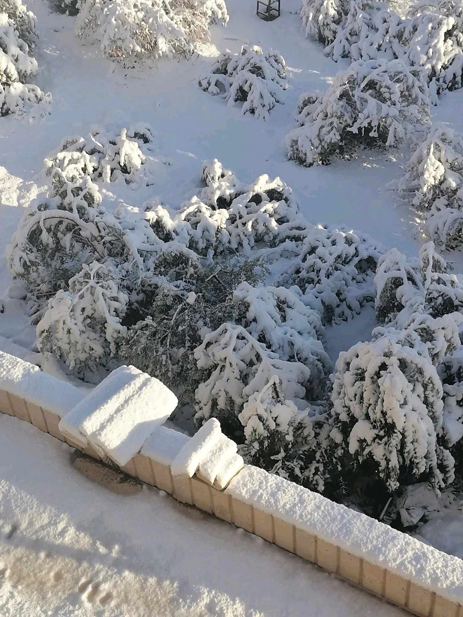 مبنى في المفرق .منشية بني حسن. وسط البلد  - 260,000 دأ - صورة 1