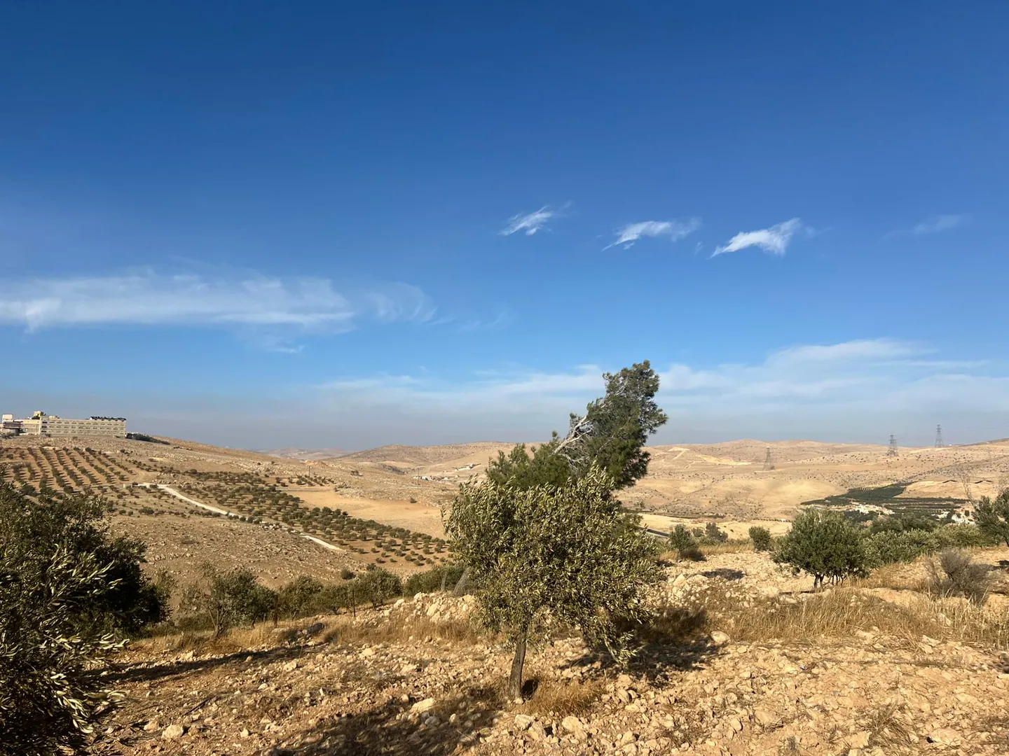 أرض في الزرقاء  - 55,000 دأ - صورة 1