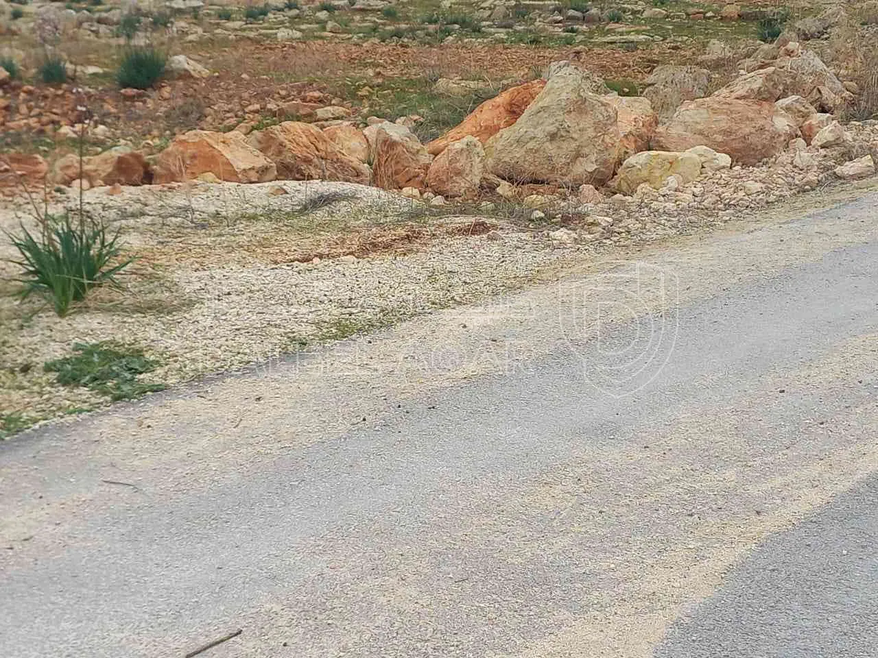 أرض في المفرق - 19,000 دأ - صورة 1