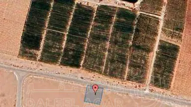 أرض في عمان - الطنيب - 51,000 دأ - صورة NaN