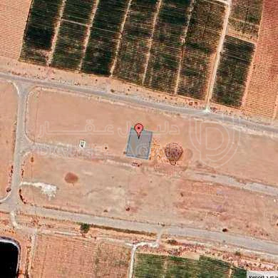 أرض في عمان - الطنيب - 51,000 دأ - صورة 1