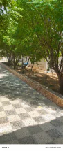 مبنى في الزرقاء الهاشمية غريسا  - 65,000 دأ - صورة NaN