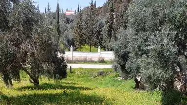 أرض في منطقة دحل طريق الزرقاء جرش - 50,000 دأ - صورة NaN