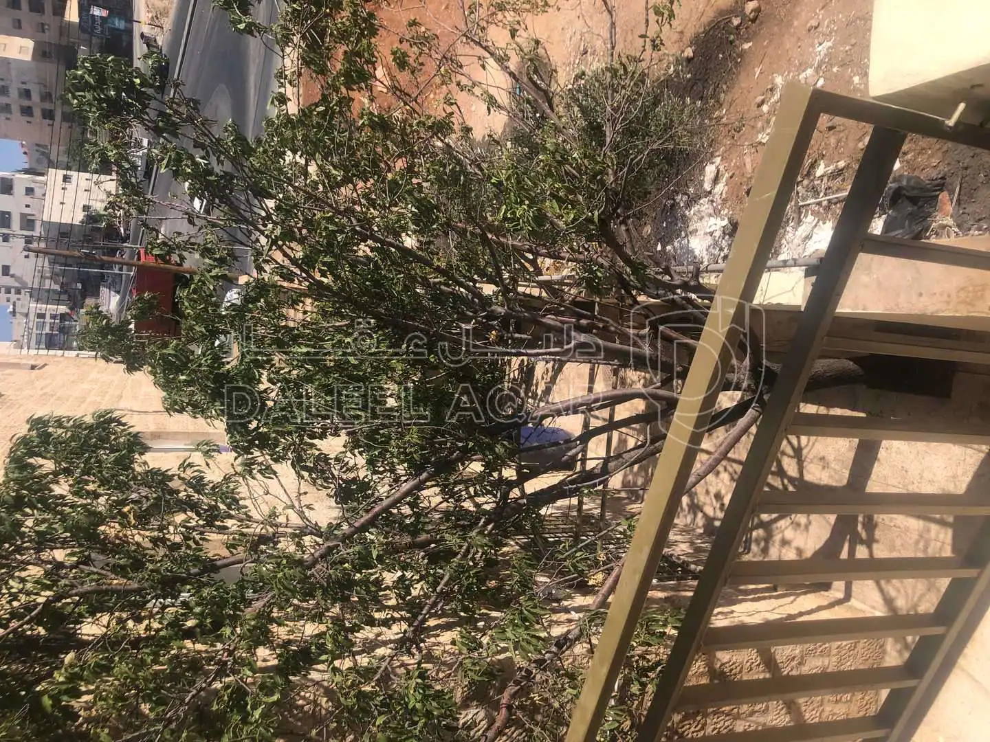 شقة في شقة أرضية للبيع في جبل النصر حي عدن - 29,000 دأ - صورة 1