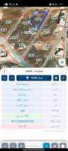 أرض في الزرقاء قضاء بيرين رجم الشوك  - 37,000 دأ - صورة NaN