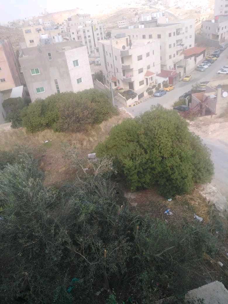 أرض في عمان ام نوارة ٤ بالقرب من مسجد الحاجة سعاد  - 58,000 دأ - صورة 1