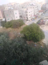 أرض في عمان ام نوارة ٤ بالقرب من مسجد الحاجة سعاد  - 58,000 دأ - صورة NaN