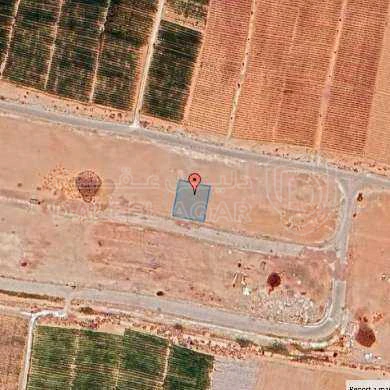 أرض في عمان - الطنيب - 51,000 دأ - صورة 1