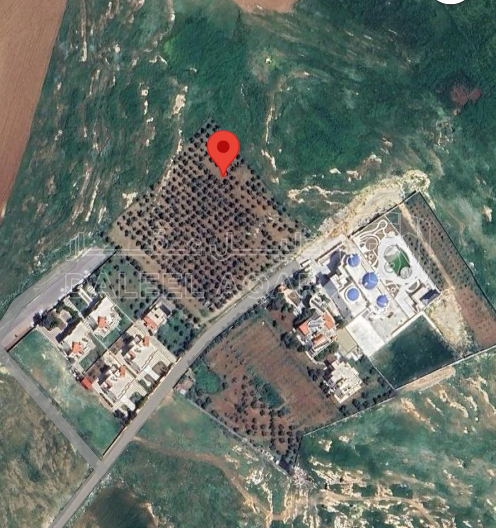 أرض في ضاحية الامير علي   - 328,000 دأ - صورة 1