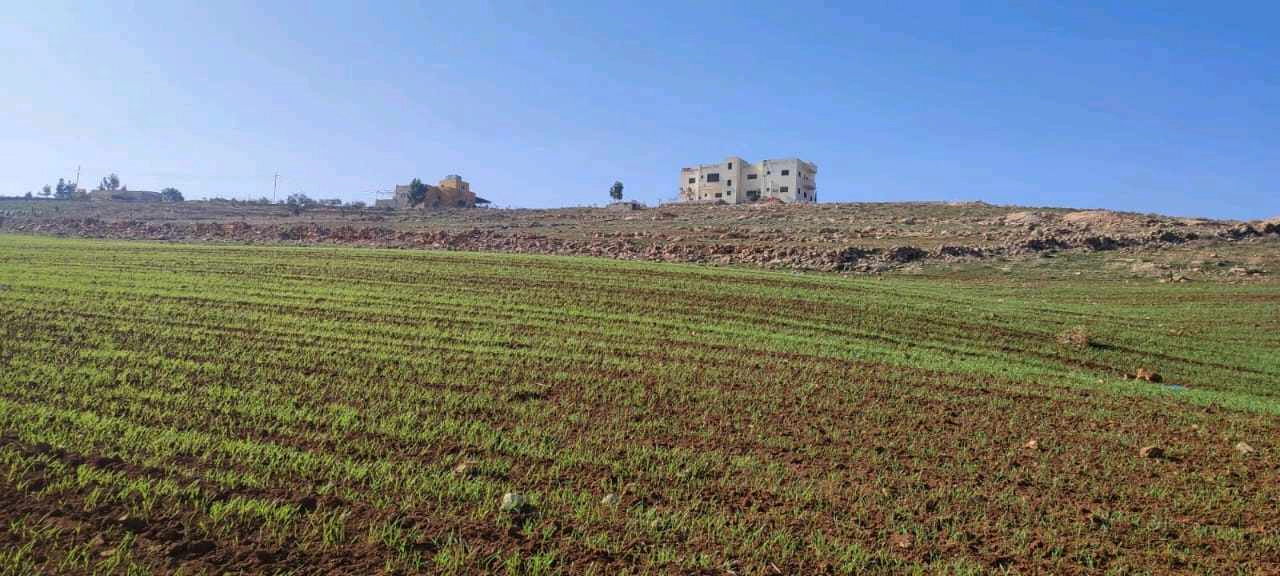 أرض في مادبا الجامعه الامريكيا  - 70,000 دأ - صورة 1