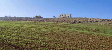 أرض في مادبا الجامعه الامريكيا  - 70,000 دأ - صورة NaN