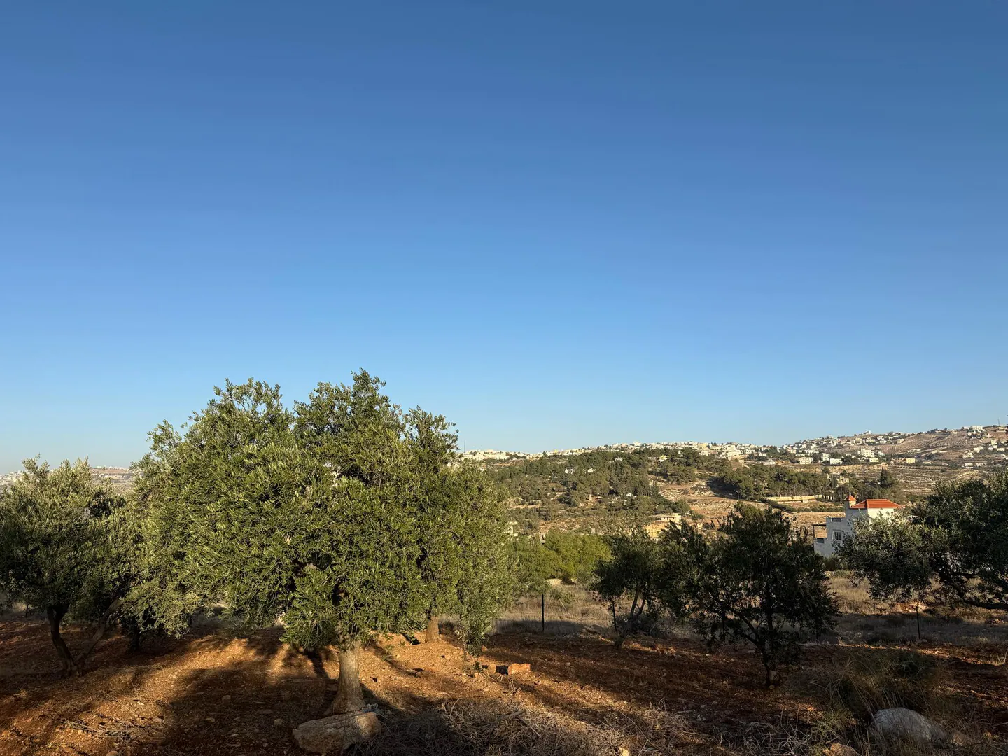 أرض في ناعور زبود - 275,000 دأ - صورة 1