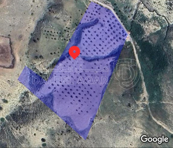 أرض في كفرنجه منطقة راجب - 68,000 دأ - صورة 1