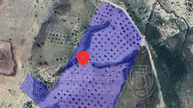 أرض في كفرنجه منطقة راجب - 68,000 دأ - صورة NaN