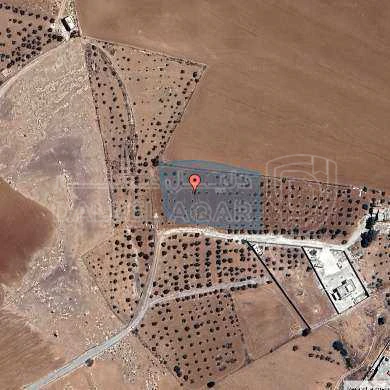 أرض في مادبا - الفيصلية  - 148,750 دأ - صورة 1