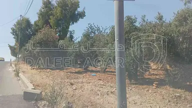 أرض في أرض للبيع شفا بدران  - 950,000 دأ - صورة NaN