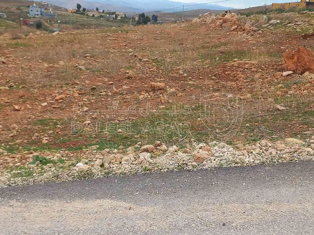 أرض في المفرق - 19,000 دأ - صورة 1