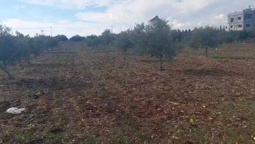أرض في اربد قرية تقبل ام الجدايل  - 27,000 دأ - صورة 1