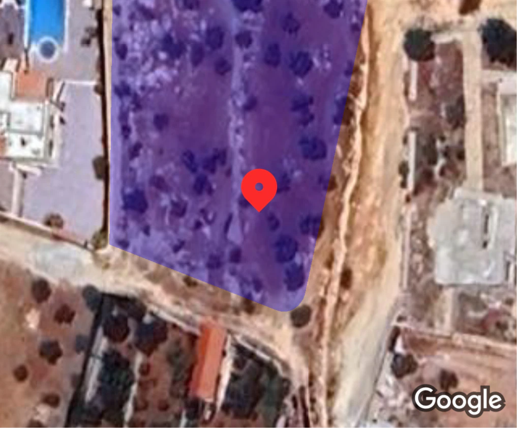أرض في مزرعة مميزه للبيع  - 55,000 دأ - صورة 1