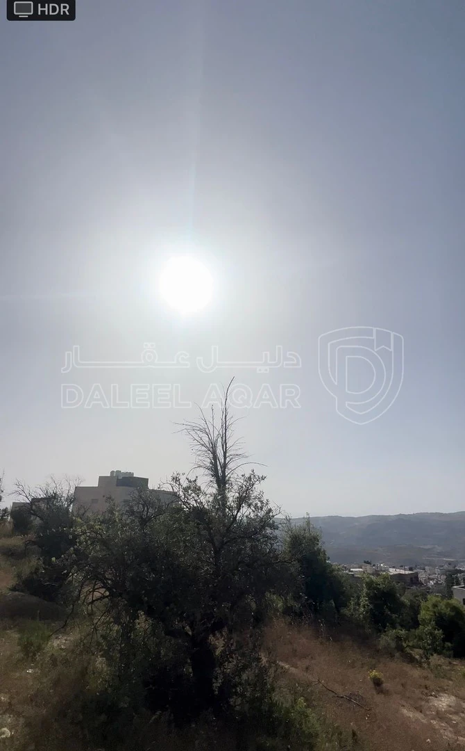 أرض في ماحص / أطراف منطقة بدر الجديده / بجانب قصر السعودي  - 180,000 دأ - صورة 1