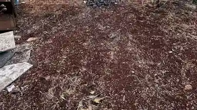 فيلا/منزل في عمان البيادر ابو السوس بالقرب من مسجد ابو السوس الكبير  - 145,000 دأ - صورة NaN