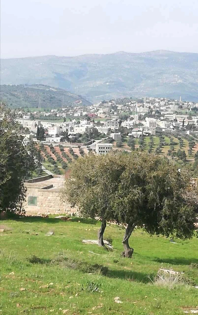 أرض في ارض الصبيحي بيوضه تصلح سكن أو شاليه أو بيت ريفي  - 33,500 دأ - صورة 1