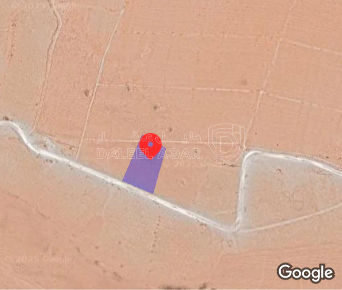 أرض في المفرق - 10,000 دأ - صورة 1
