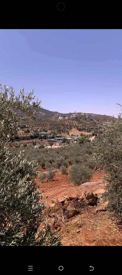 فيلا/منزل في الصبيحي - 500,000 دأ - صورة 1