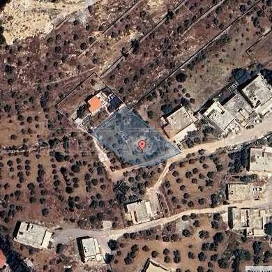 أرض في شفا بدران- ام العروق- قطعة أرض للبيع مساحتها 986م2 - 135,000 دأ - صورة 1