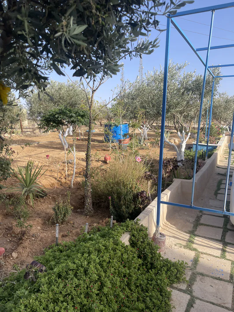 مزرعة/شاليه في مادبا /دليله بجانب المدينه الصناعيه الجديده - 125,000 دأ - صورة 1