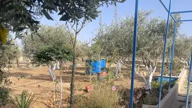 مزرعة/شاليه في مادبا /دليله بجانب المدينه الصناعيه الجديده - 125,000 دأ - صورة NaN