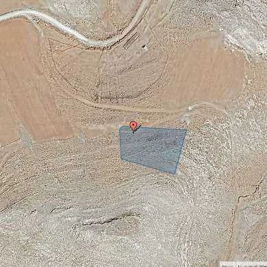 أرض في المزار الجنوبي - قرية الطيبة  - 3,500 دأ - صورة 1