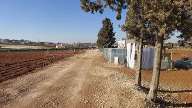 أرض في مأدبا - ماعين  - 90,000 دأ - صورة NaN