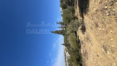 أرض في ماحص / أطراف منطقة بدر الجديده / بجانب قصر السعودي  - 170,000 دأ - صورة NaN