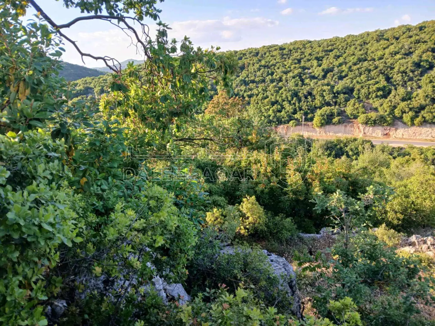 أرض في عجلون سوس راسون - 125,000 دأ - صورة 1