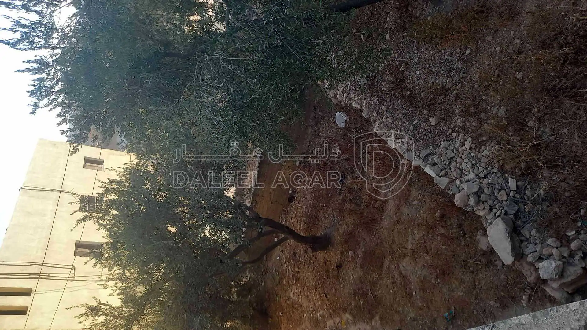شقة في منزل مستقل  - 65,000 دأ - صورة 1