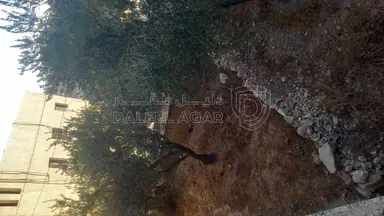 شقة في منزل مستقل  - 65,000 دأ - صورة NaN