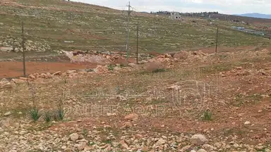 أرض في المفرق - 19,000 دأ - صورة NaN