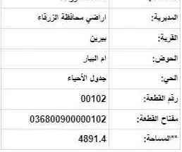 أرض في بيرين مقابل مسجد المرج - 225,000 دأ - صورة NaN