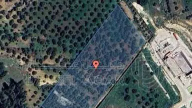 مزرعة/شاليه - جرش - ام الكتة  - 150000 دأ