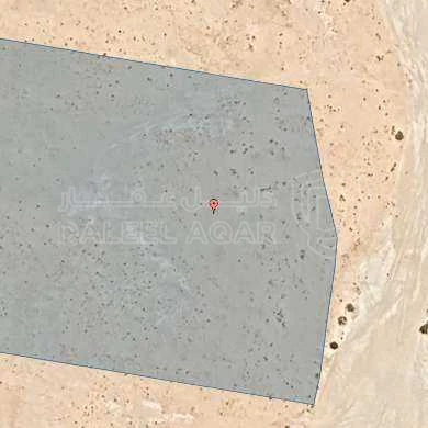أرض في العقبة _ القويرة - 3,500 دأ - صورة 1