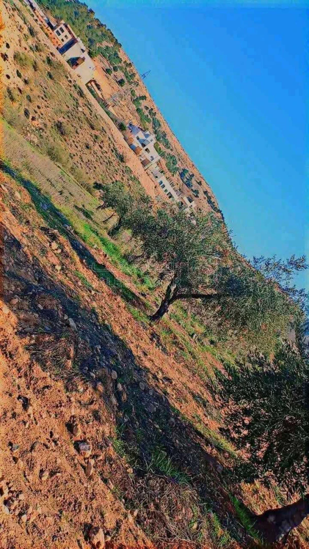 أرض في بيرين الخله بالقرب من قصر النجار - 15,000 دأ - صورة 1