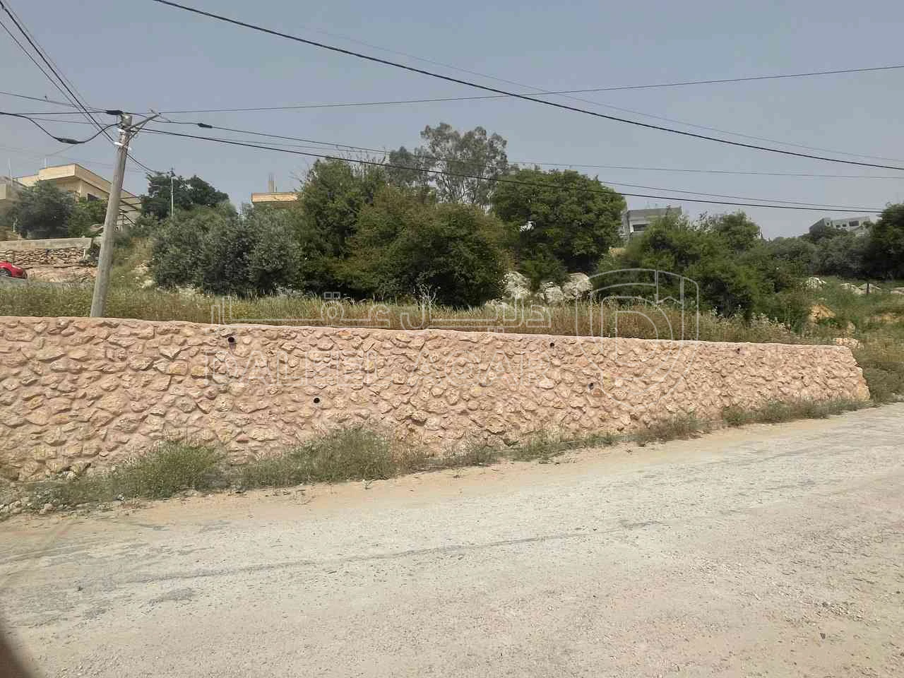 أرض في ماحص قرب مدرسة البهاء  - 55,000 دأ - صورة 1
