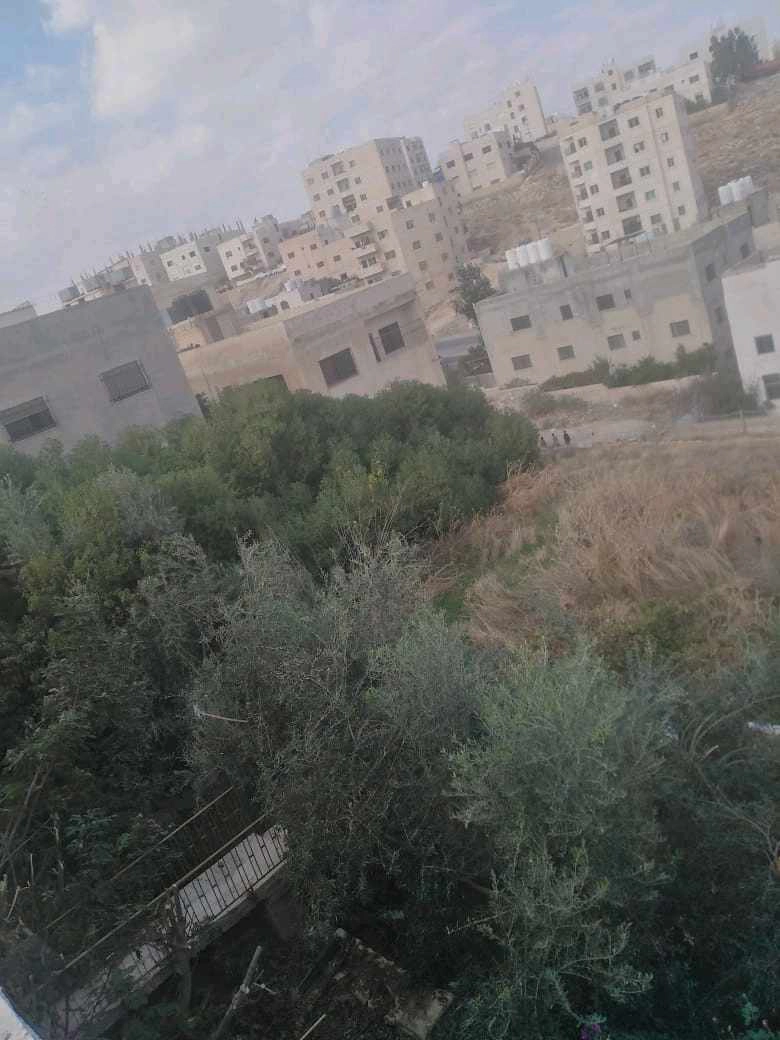 أرض في عمان ام نوارة ٤ بالقرب من مسجد الحاجة سعاد  - 58,000 دأ - صورة 1